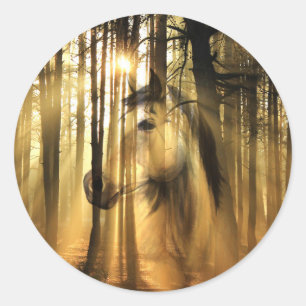 Sticker Rond Cheval de soleil
