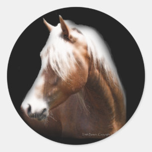Sticker Rond Cheval d'Imaginaire en noir