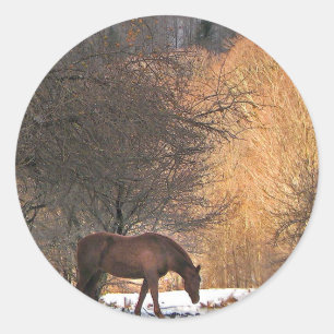 Sticker Rond Cheval en hiver