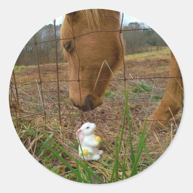 Sticker Rond cheval et fleur de printemps Bunny (Devant)
