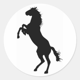 Sticker Rond Cheval Jumper