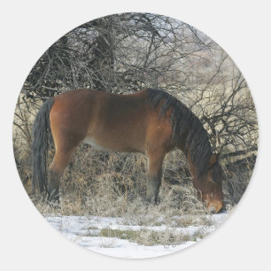 Sticker Rond Cheval Mustang sauvage dans la neige 1