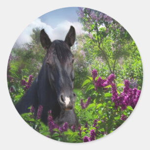 Sticker Rond Cheval noir en lilas