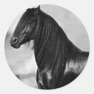 Sticker Rond Cheval noir frison fier d'étalon