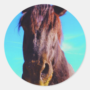 Sticker Rond Cheval pourpre avec Bouche verte