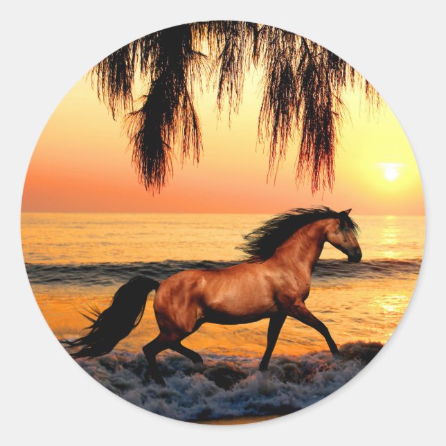 Sticker Rond Cheval sur la plage au coucher du soleil (Devant)