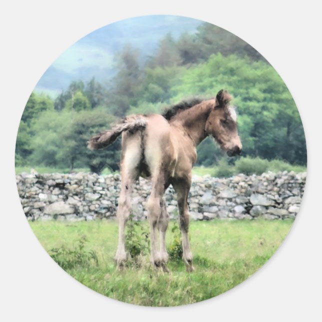 STICKER ROND CHEVAUX (Devant)