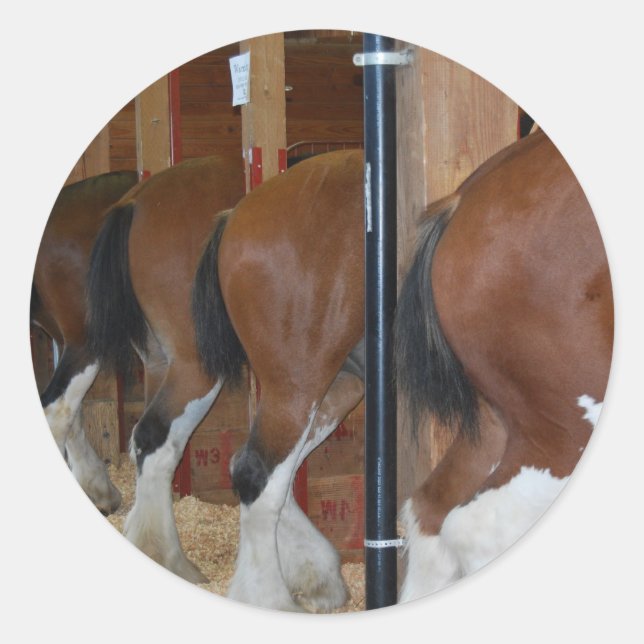 Sticker Rond Chevaux de Clydesdale (Devant)