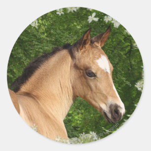 Sticker Rond Chevaux d'Imaginaire : Fleurs
