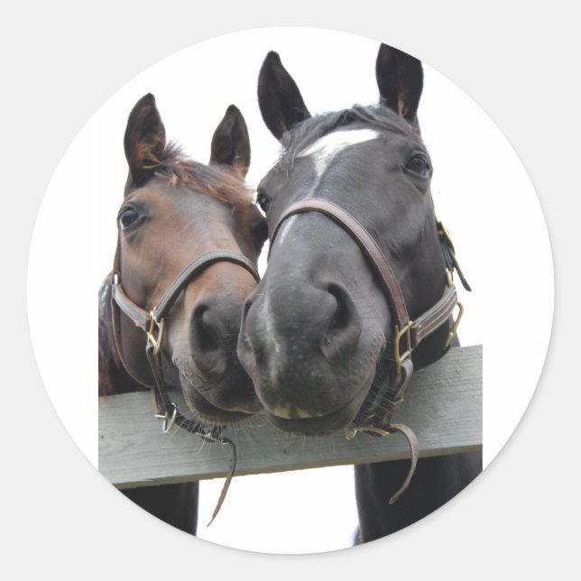 Sticker Rond Chevaux en amour (Devant)