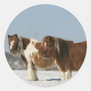 Sticker Rond Chevaux miniatures debout dans la neige
