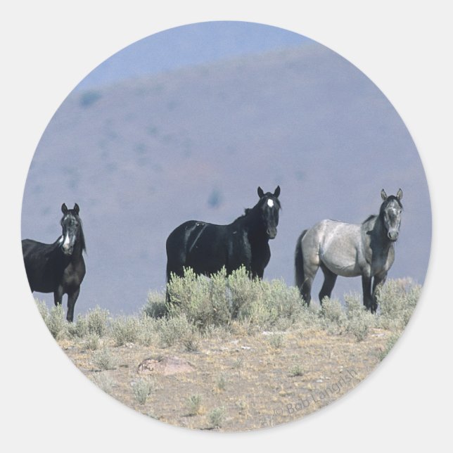 Sticker Rond Chevaux Mustang sauvages dans le désert 3 (Devant)