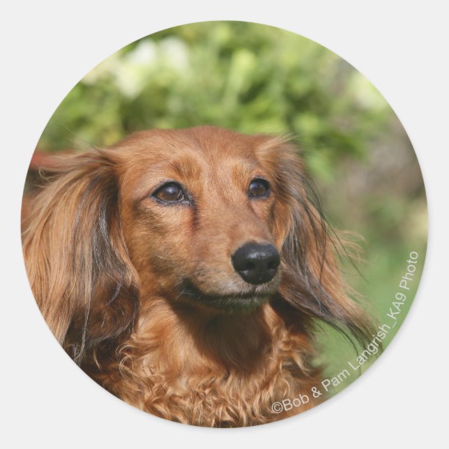 Sticker Rond Cheveux miniature rouge (Devant)