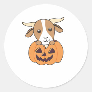 Sticker Rond Chèvre en Citrouille chèvres mignonnes Joyeux Hall