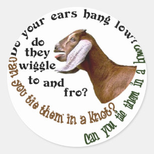 STICKER ROND CHÈVRE NUBIENNE - FAIBLE QUE VOS OREILLES AIENT ?