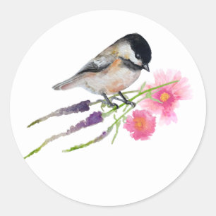 Sticker Rond Chickadee Black Capped Art