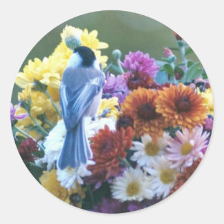 STICKER ROND CHICKADEE SUR MUMS