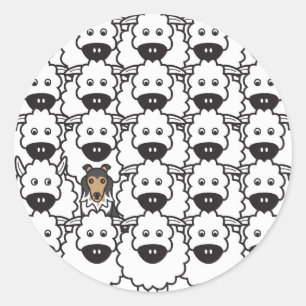 Sticker Rond Chien à mouton de Shetland dans le mouton