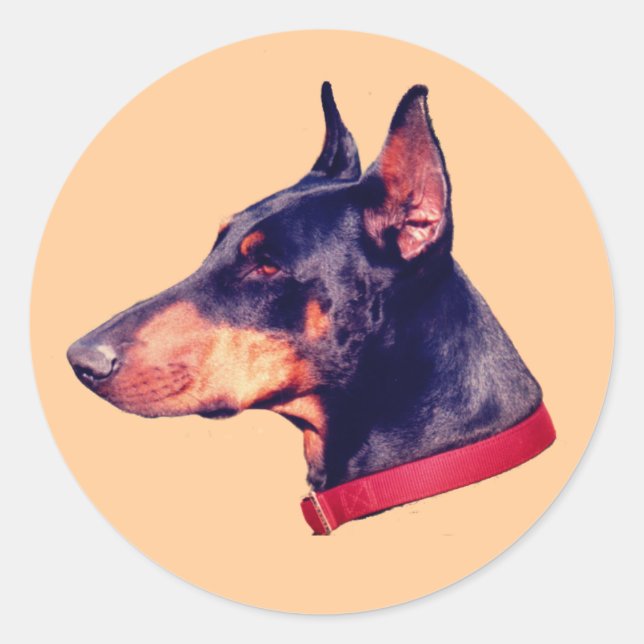 Sticker Rond Chien à visage Doberman Pinscher (Devant)