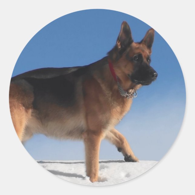 Sticker Rond Chien berger allemand sain et heureux (Devant)
