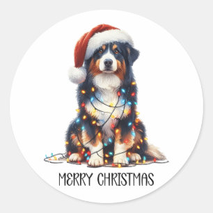 Sticker Rond Chien berger australien enveloppé dans la lumière 