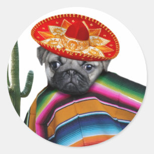 Sticker Rond Chien carlin mexicain