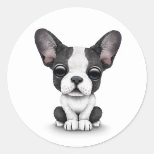 Sticker Rond Chien chiot français mignon sur blanc