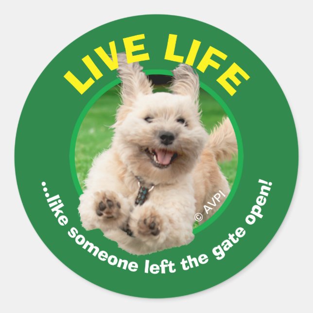 Sticker Rond Chien Courant Dans Le Jardin (Devant)