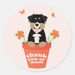 Sticker Rond Chien De Berger Australien En Pot De Fleur Merci