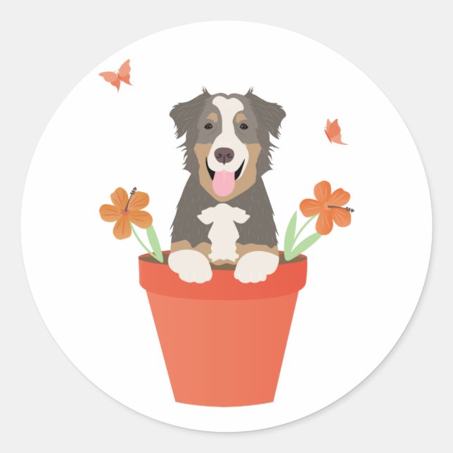 Sticker Rond Chien De Berger Australien En Pot De Fleurs (Devant)