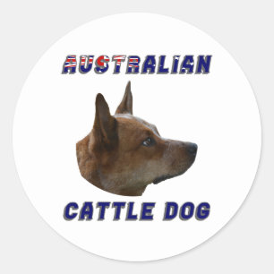 Sticker Rond Chien de bétail australien
