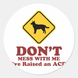 Sticker Rond Chien de bétail australien