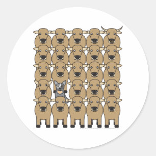 Sticker Rond Chien de bétail australien dans le troupeau