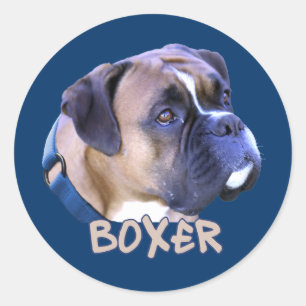 Sticker Rond Chien de boîte