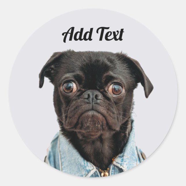 Sticker Rond Chien de Carlin noir ajouter du texte (Devant)