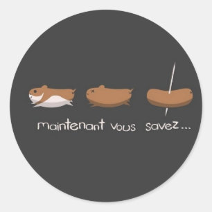 Sticker Rond Chien de hamster