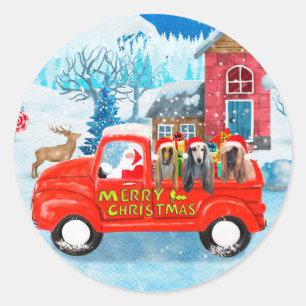 Sticker Rond Chien de Hounds afghan dans la livraison de Noël C