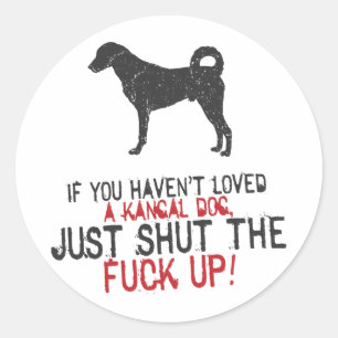 Sticker Rond Chien de Kangal