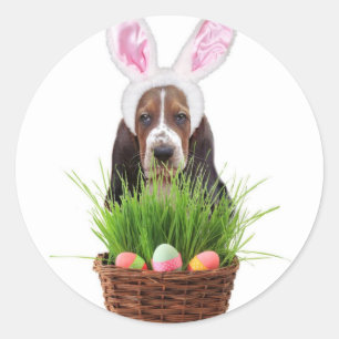 Sticker Rond Chien de Pâques