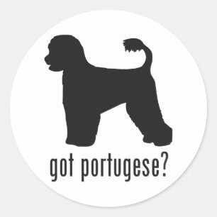 Sticker Rond Chien d'eau portugais