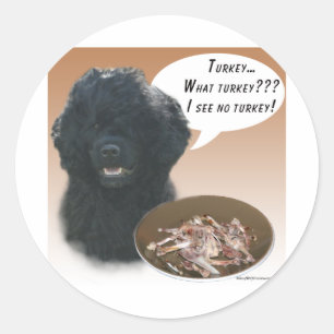 Sticker Rond Chien d'eau portugais Turquie