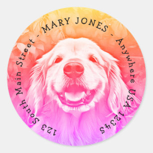 Sticker Rond Chien d'or retriever souriant en rose et orange