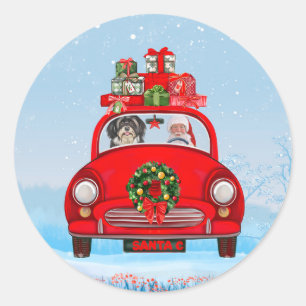 Sticker Rond Chien Havanais en voiture avec le Père Noël