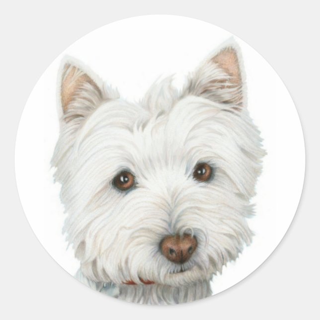 Sticker Rond Chien mignon Westie (Devant)