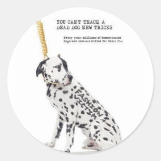 Sticker Rond Chien Nouvelles pistes