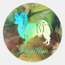 Chien Papillon 