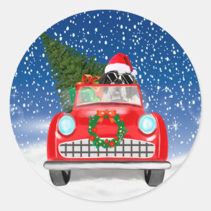 Sticker Rond Chien Saint-Bernard conduisant une voiture dans la