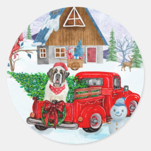 Sticker Rond Chien Saint-Bernard dans un camion de livraison de
