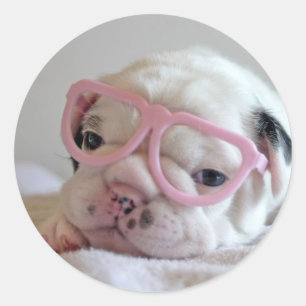 Sticker Rond Chien-taureau français en lunettes de coeur