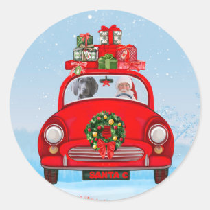 Sticker Rond Chien Weimaraner En Voiture Avec Le Père Noël